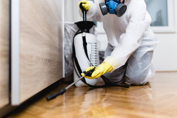 Best Termite Control Services  in Ilchester, MD