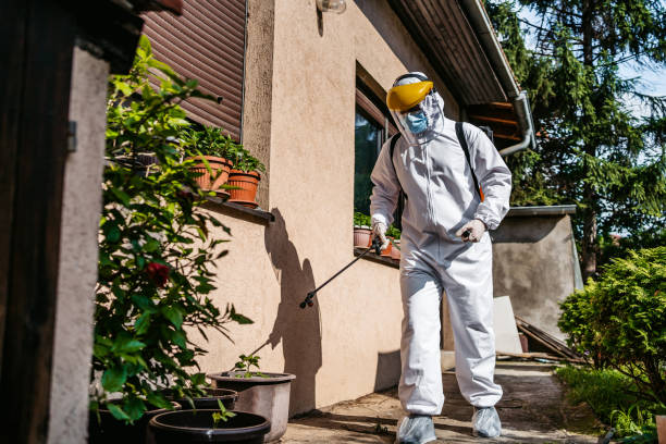 Wasp Removal Services in Ilchester, MD